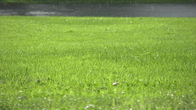 雨水（高清）