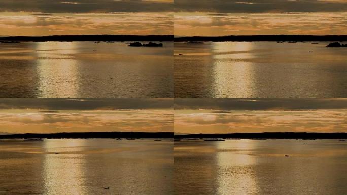 格陵兰的黄色风景午夜太阳