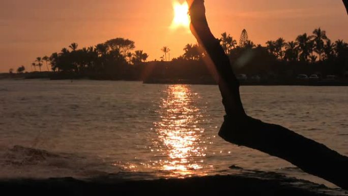 夏威夷热带日落瓦胡岛威基基群岛棕榈树