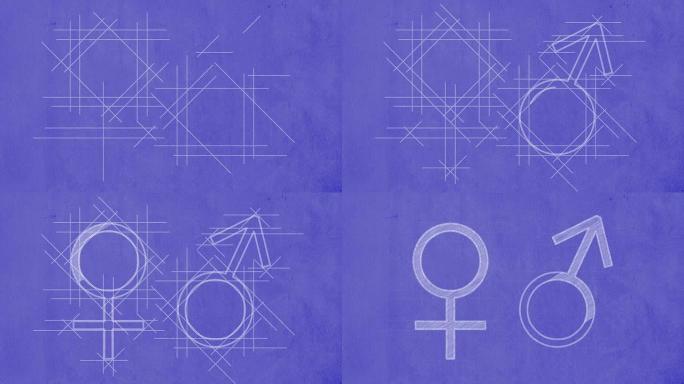 蓝图上的男性和女性符号