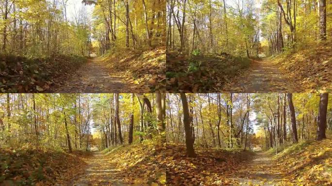 秋季人行道小巷多莉拍摄