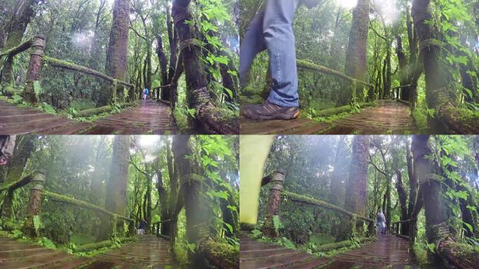 自然的时间流逝沿着安加多伊因他侬国家公园。