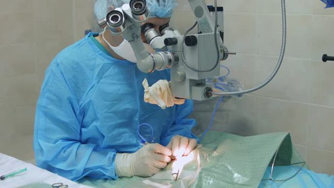 显微外科医生用眼睛看着显微镜