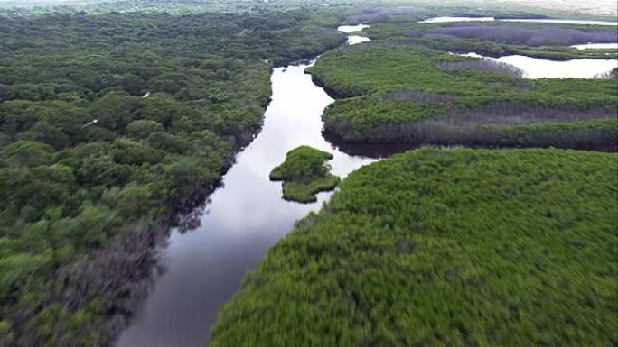 大西洋雨林最后一个地区的低空部分-鸟瞰图-巴西巴拉那