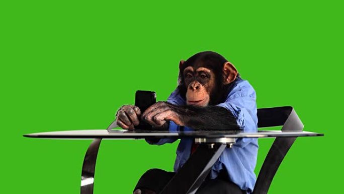 绿屏猴子智能手机