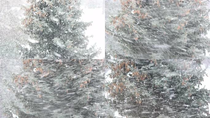 阿尔卑斯山的大雪