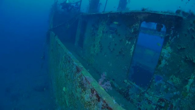 Boga Shipwreck海底,库布,巴厘岛,印度尼西亚 (4K)