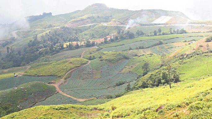 HD：山区农业区三农业农田园耕地种植大米