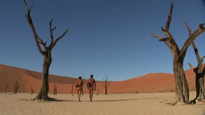 Dead_Vlei_San公司