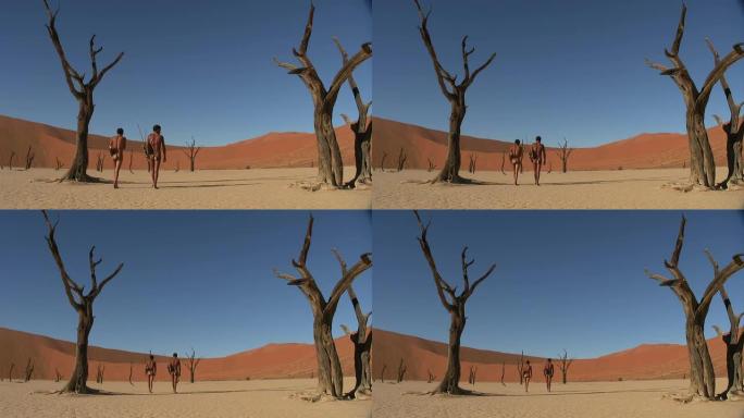 Dead_Vlei_San公司