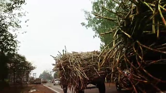 甘蔗车骑农产品运输传统农业贫困国家