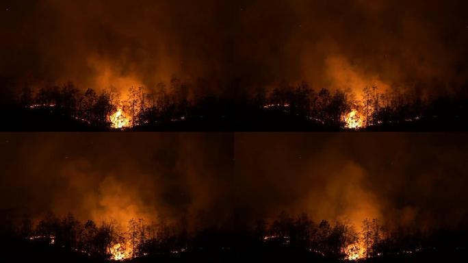 WS森林大火，泰国清迈