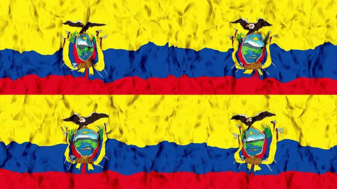 慢动作中挥舞厄瓜多尔国旗。