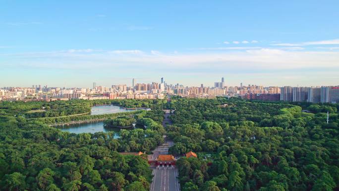 辽宁沈阳沈阳春夏季北陵公园城市风景航拍