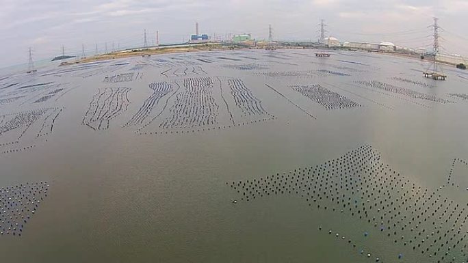 俯视图：泰国海岸的贻贝养殖场
