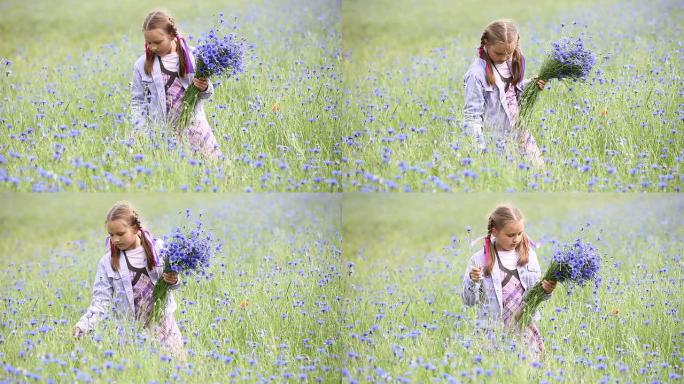 小女孩在采花小女孩在采花