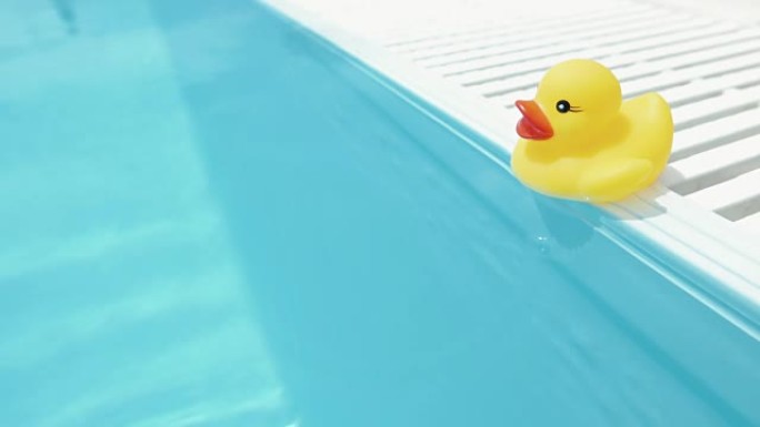 漂浮在游泳池中的黄色橡皮鸭