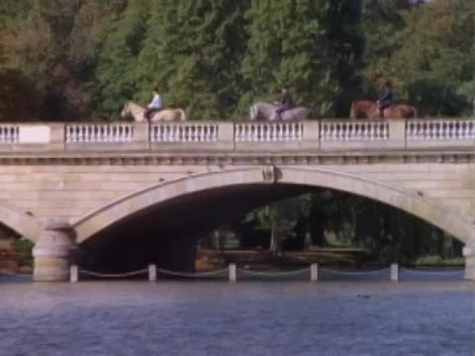 海德公园的马在过桥