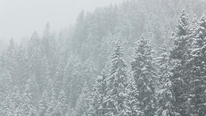 高清缩小冬季雪地景观