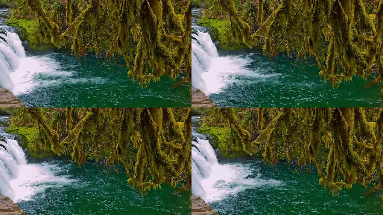 雨林森林海氧吧瀑布溪流水
