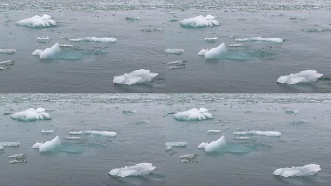 一些冰块漂浮在海面上。