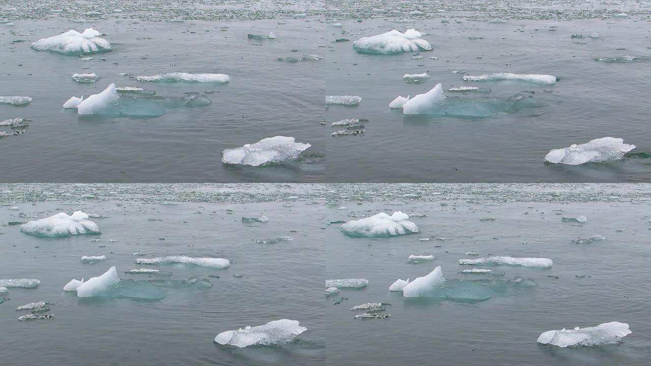 一些冰块漂浮在海面上。