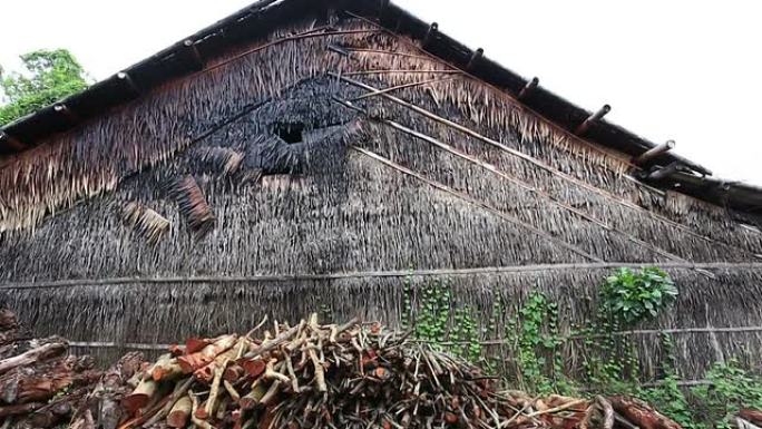 红树林木材要加工成木炭