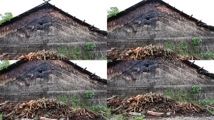 红树林木材要加工成木炭