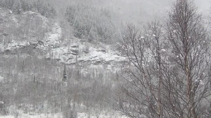 下雪的场景