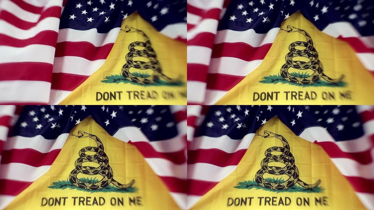 加斯登茶党的美国国旗