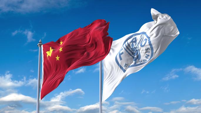 中国-联合国粮农组织旗帜