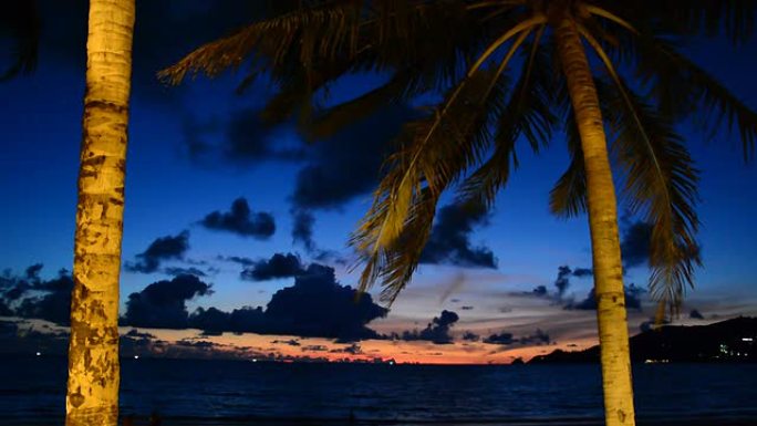夜晚的棕榈和美丽的天空