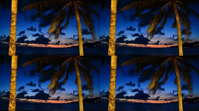 夜晚的棕榈和美丽的天空