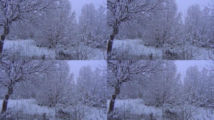 雪景雪林雪景冰天雪地