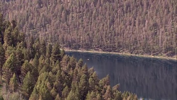 飞越树木到麦迪逊河-鸟瞰图-蒙大拿州，麦迪逊县，直升机拍摄，航空视频，cineflex，建立镜头，美