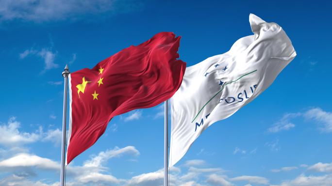 中国-南方共同市场旗帜