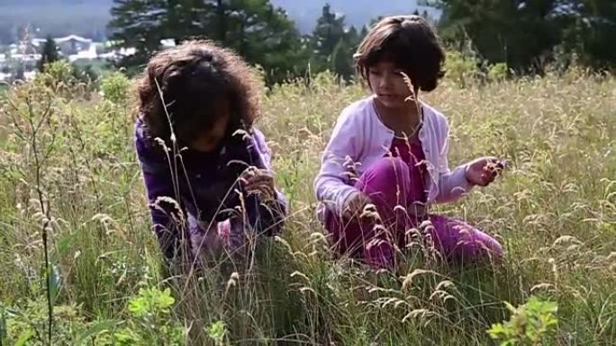混血女孩在山区草地上探索