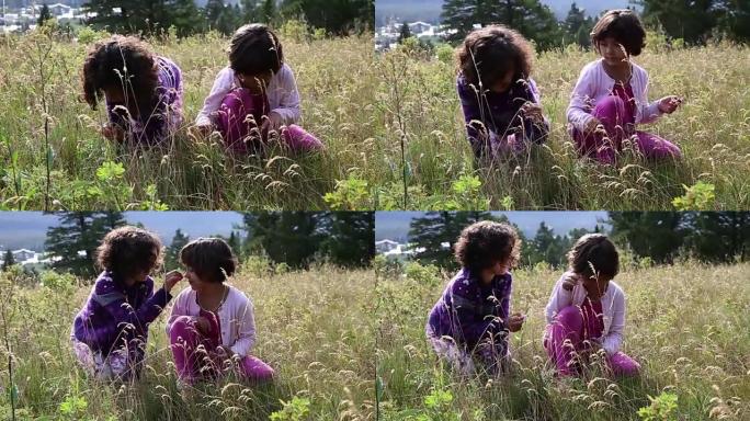混血女孩在山区草地上探索