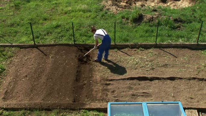 高清延时: 园艺