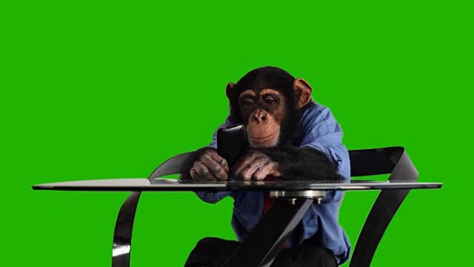 绿屏猴子智能手机素材