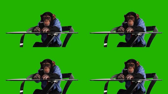 绿屏猴子智能手机素材