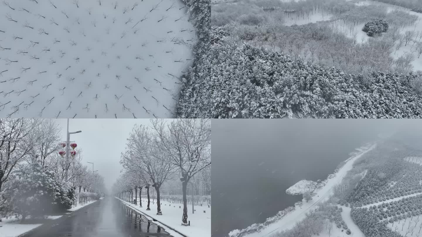 冬季北方雪景