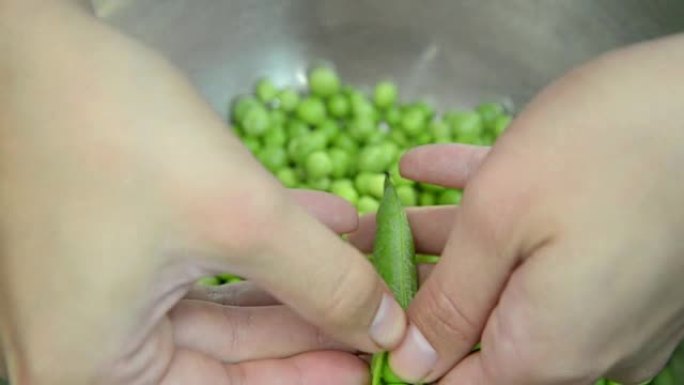 绿豌豆。剥豌豆豌豆绿豆