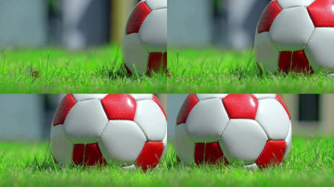 草地上的足球。高清