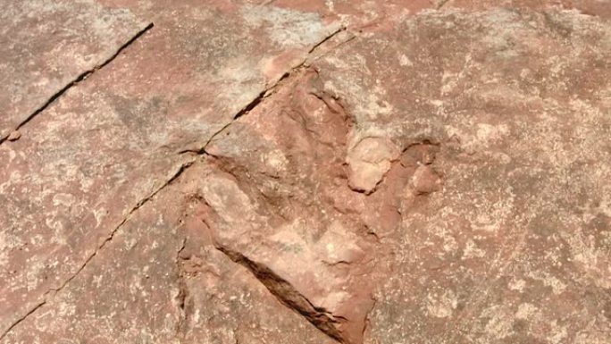 恐龙足迹实拍视频特写镜头岩石风化