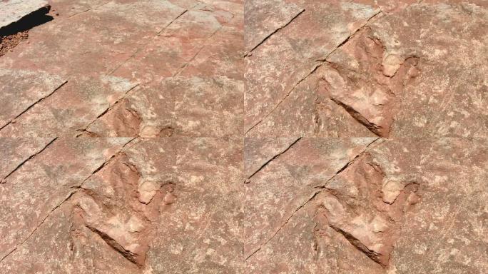 恐龙足迹实拍视频特写镜头岩石风化