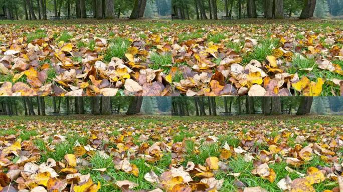 秋天的田野秋日景色自然风景