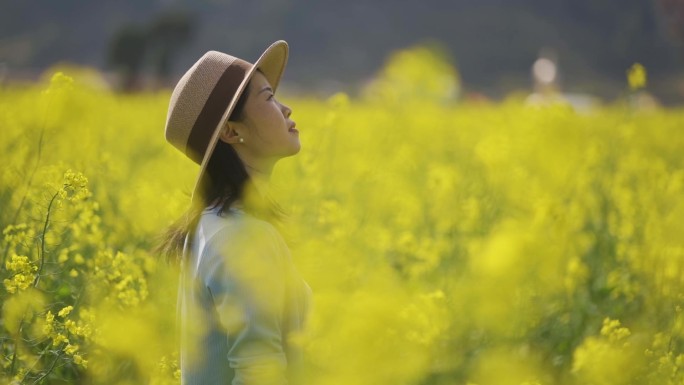 美女户外踏青油菜花林仰望天空唯美清新视频