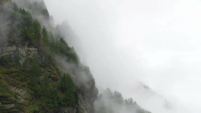 雾在山林上空升起高山峰水墨山脉