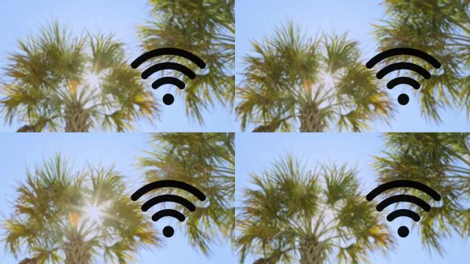 带棕榈树的Wifi热点无线技术